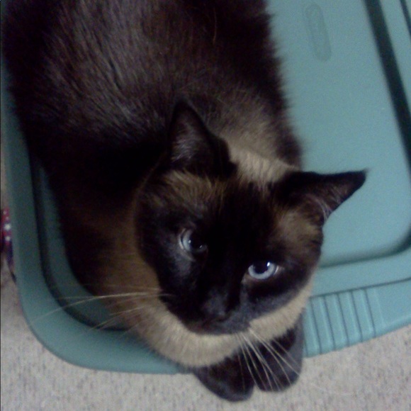 Meet your Posher, KB - Picture 2 of 11